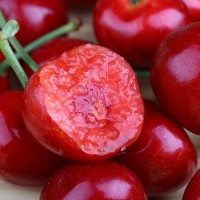 山東煙臺(tái)大櫻桃美早大果3斤5斤車(chē)?yán)遄诱洚?dāng)季新鮮水果批發(fā)代發(fā)